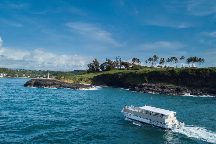 Tour boat near a rocky coast with palm trees under a blue sky.